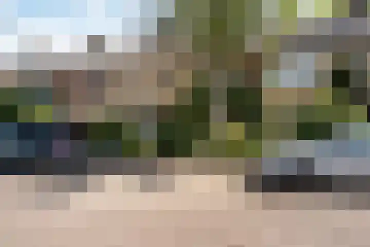 Colenso 124 Soest thumbnail 23