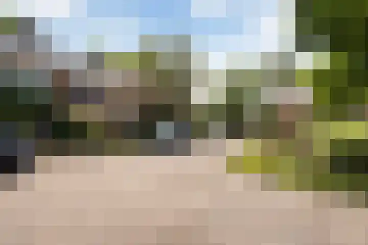 Colenso 124 Soest thumbnail 24