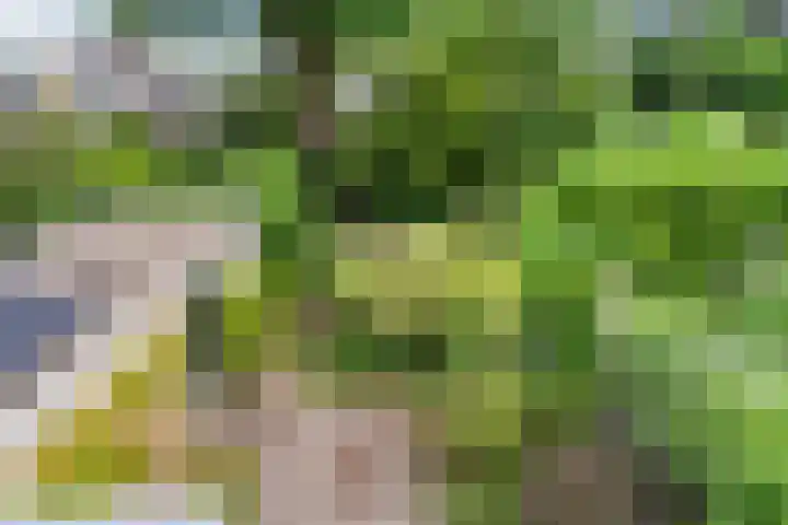 Colenso 124 Soest thumbnail 25