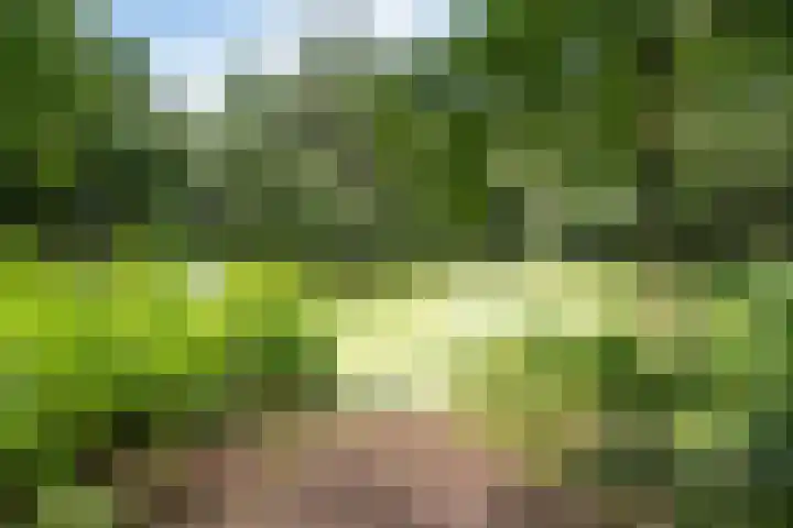 Colenso 124 Soest thumbnail 26