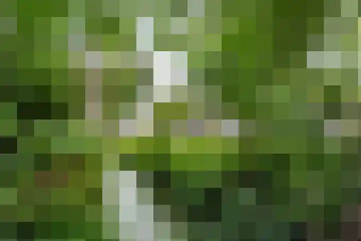 Colenso 124 Soest thumbnail 27