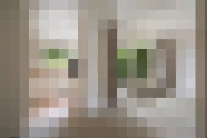 Colenso 124 Soest thumbnail 6