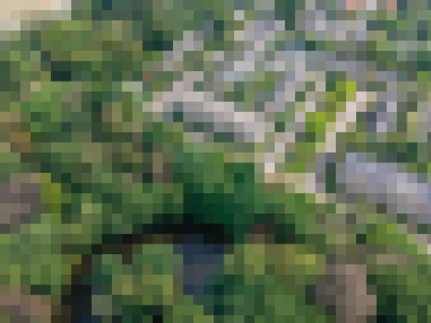 Colenso 138 Soest thumbnail 33