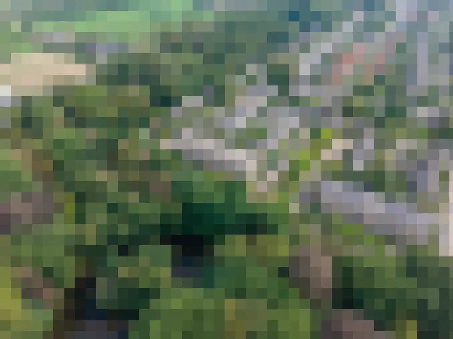 Colenso 138 Soest thumbnail 34