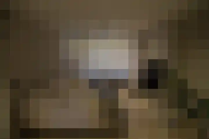 Colenso 141 Soest thumbnail 13