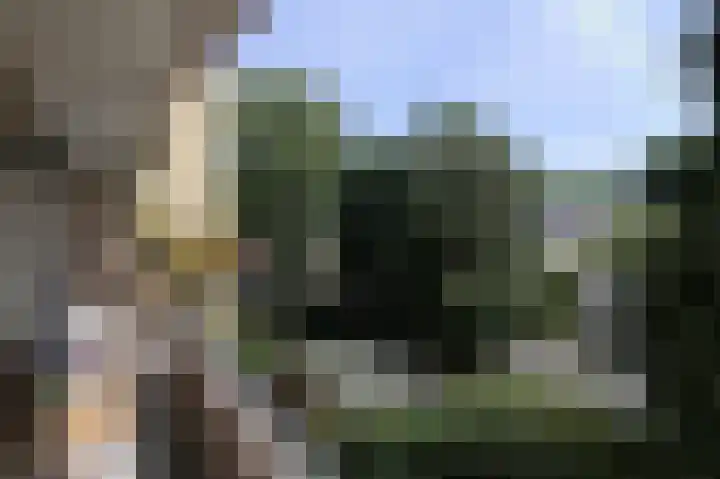 Colenso 141 Soest thumbnail 29