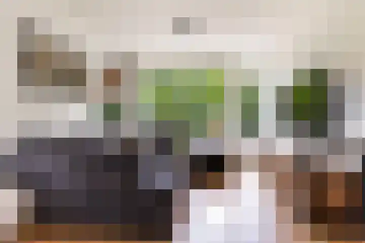 Colenso 142 Soest thumbnail 4