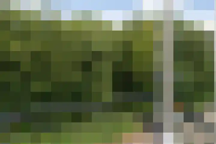 Colenso 142 Soest thumbnail 6