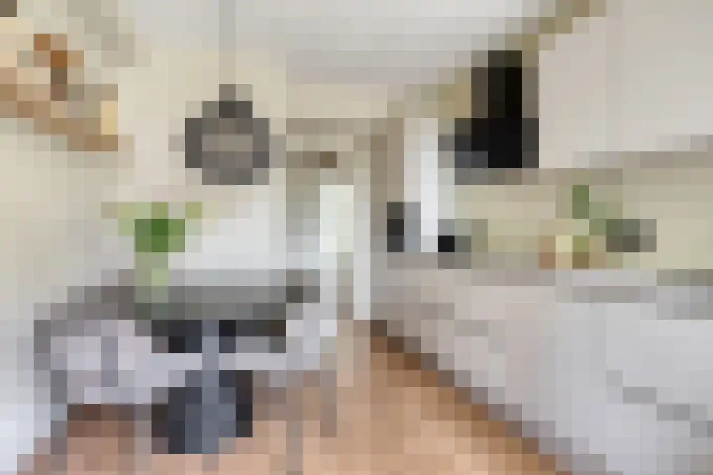 Colenso 152 Soest thumbnail 14