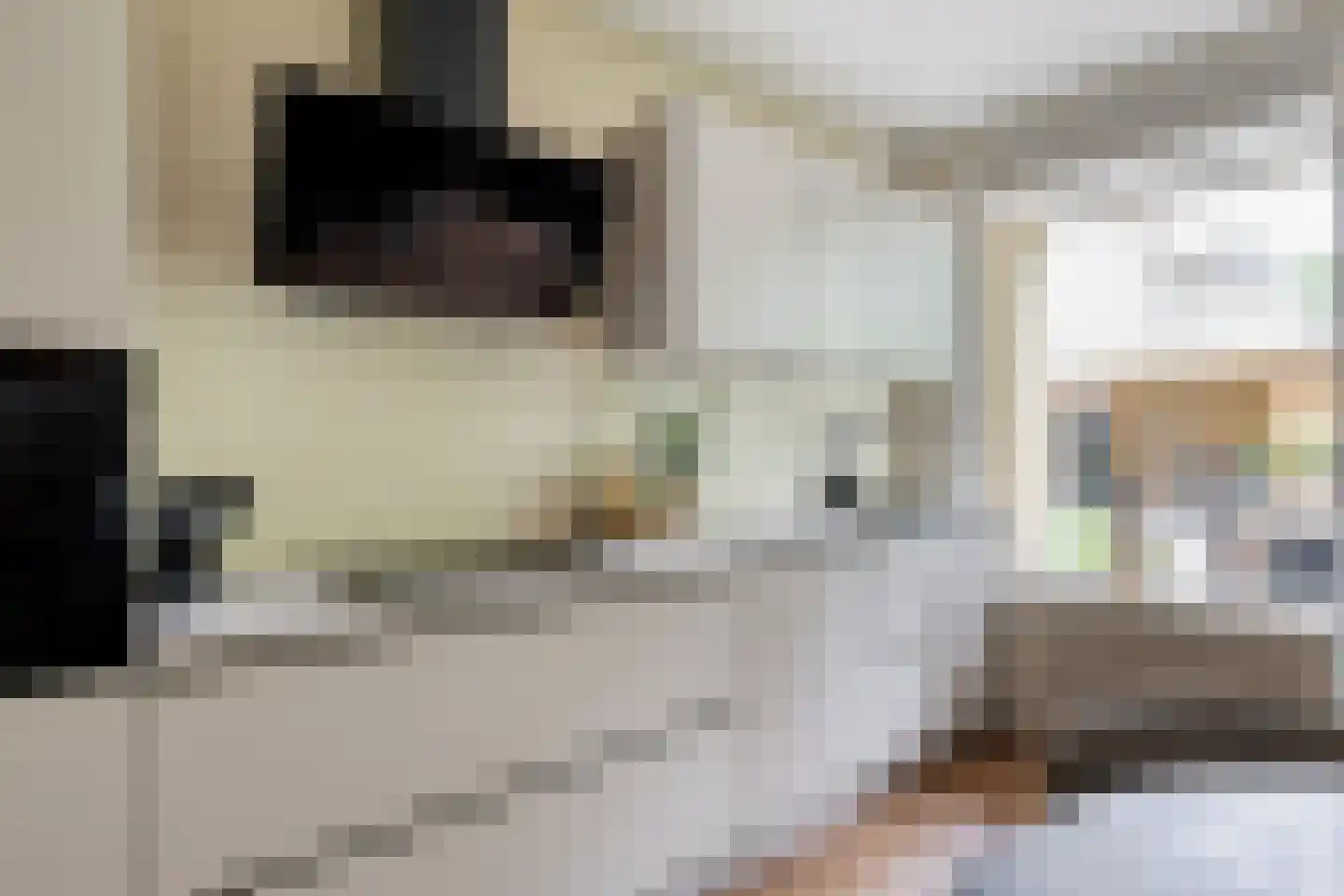 Colenso 152 Soest thumbnail 16