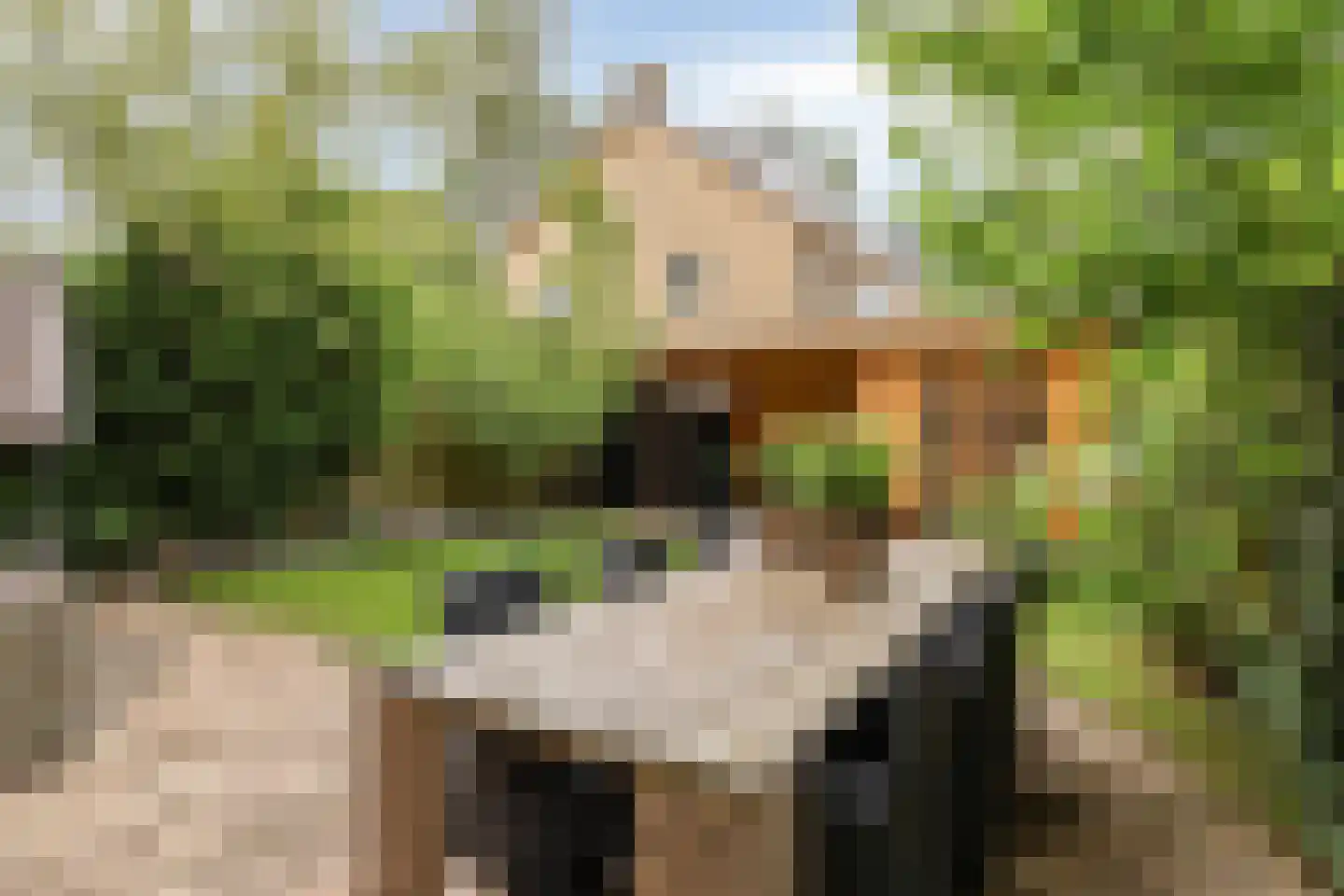 Colenso 152 Soest thumbnail 23
