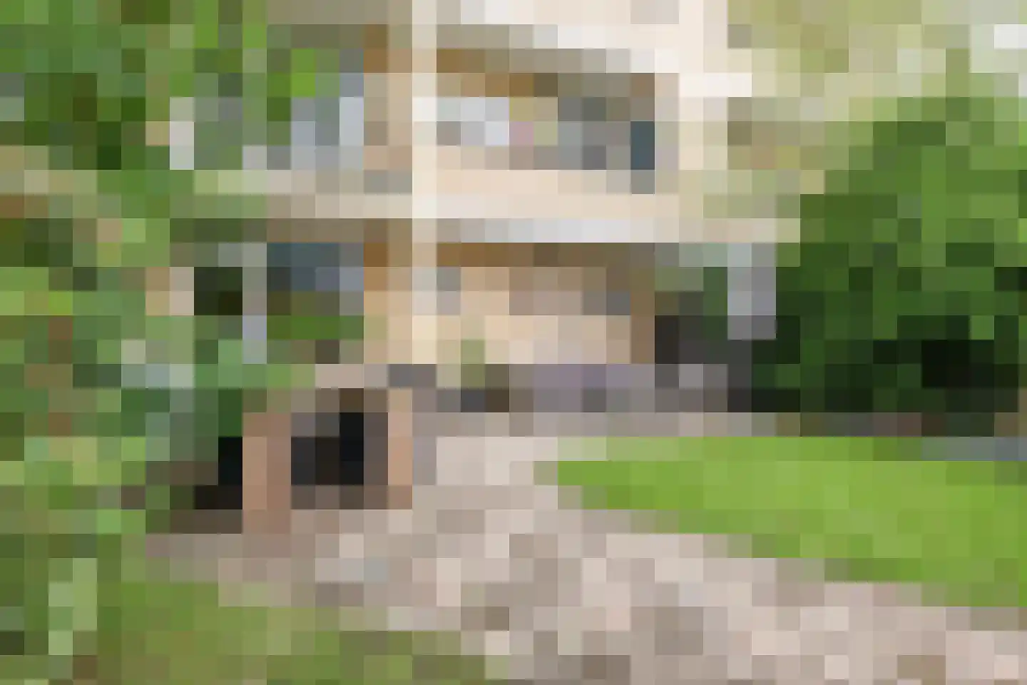 Colenso 152 Soest thumbnail 28