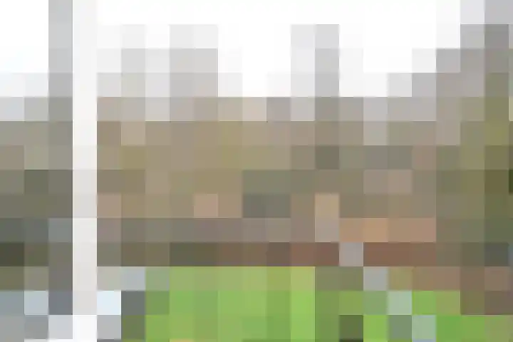 Colenso 159 Soest thumbnail 4