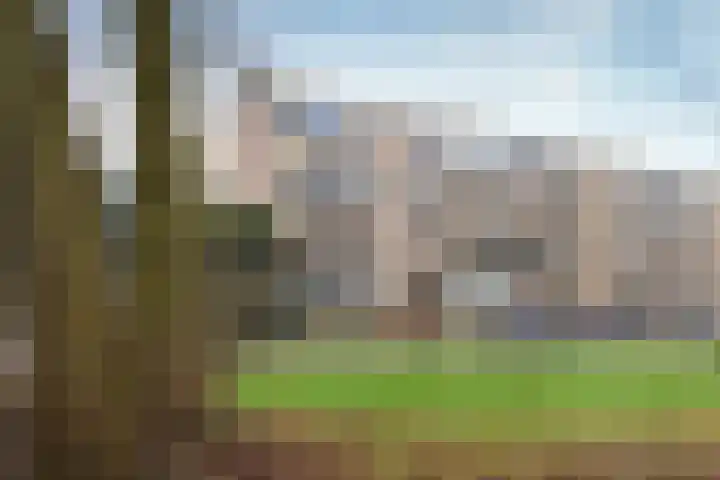 Colenso 159 Soest thumbnail 7