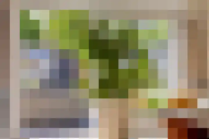 Colenso 166 Soest thumbnail 10