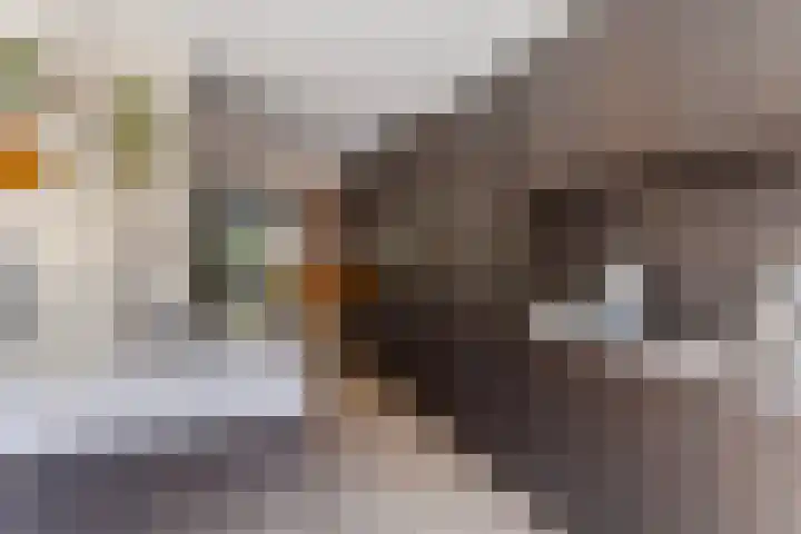 Colenso 166 Soest thumbnail 12