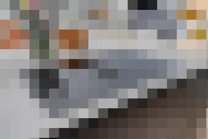 Colenso 166 Soest thumbnail 13
