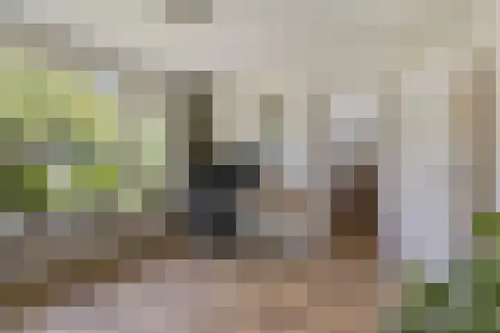 Colenso 166 Soest thumbnail 20