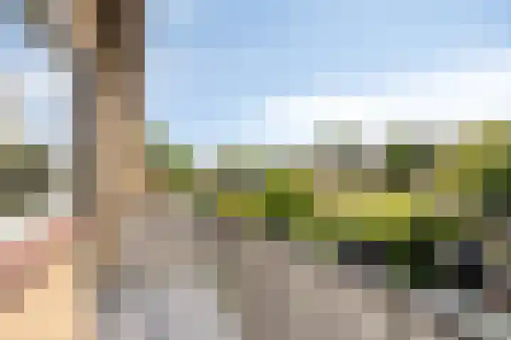 Colenso 166 Soest thumbnail 23