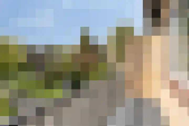 Colenso 166 Soest thumbnail 24