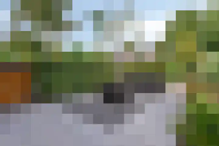 Colenso 166 Soest thumbnail 41