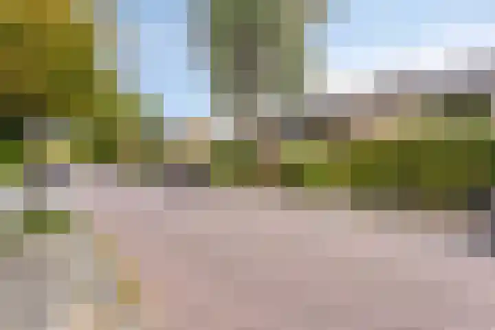 Colenso 166 Soest thumbnail 42