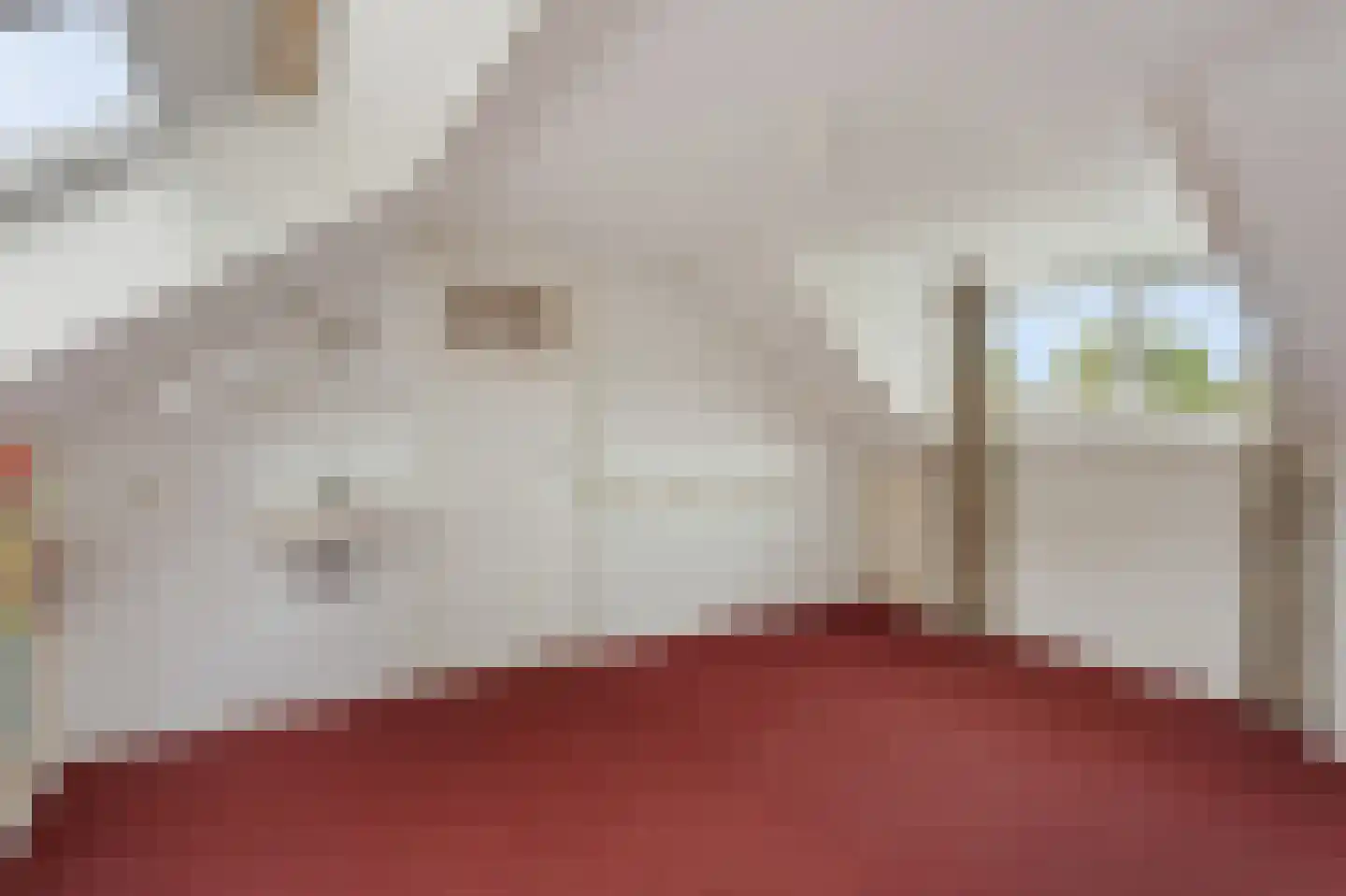Colenso 172 Soest thumbnail 27
