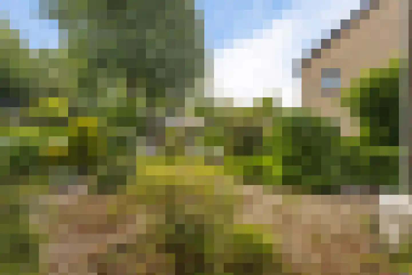 Colenso 172 Soest thumbnail 33