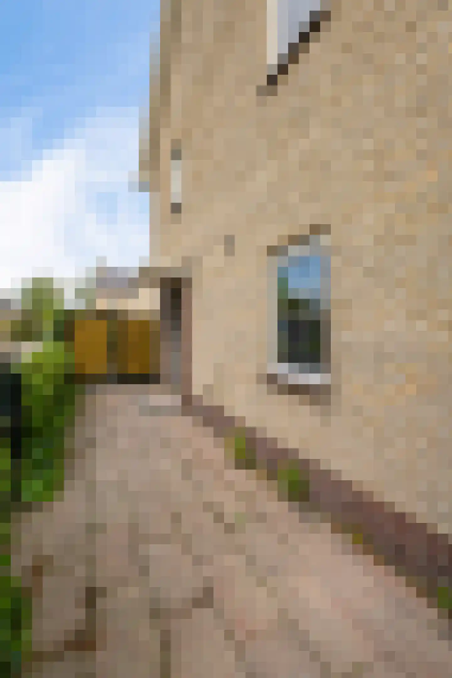 Colenso 172 Soest thumbnail 7