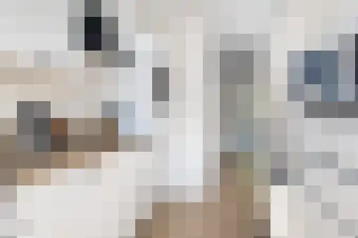 Colenso 20 Soest thumbnail 16
