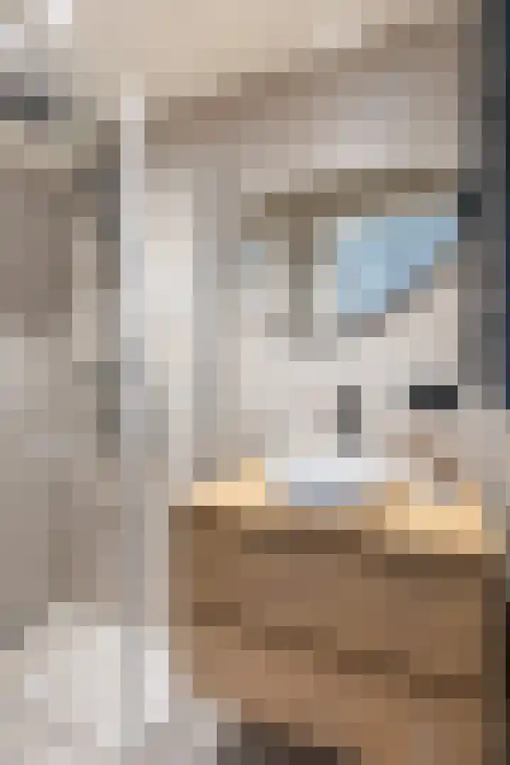 Colenso 20 Soest thumbnail 22