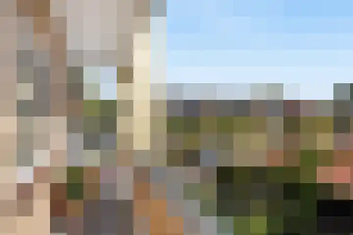Colenso 20 Soest thumbnail 27