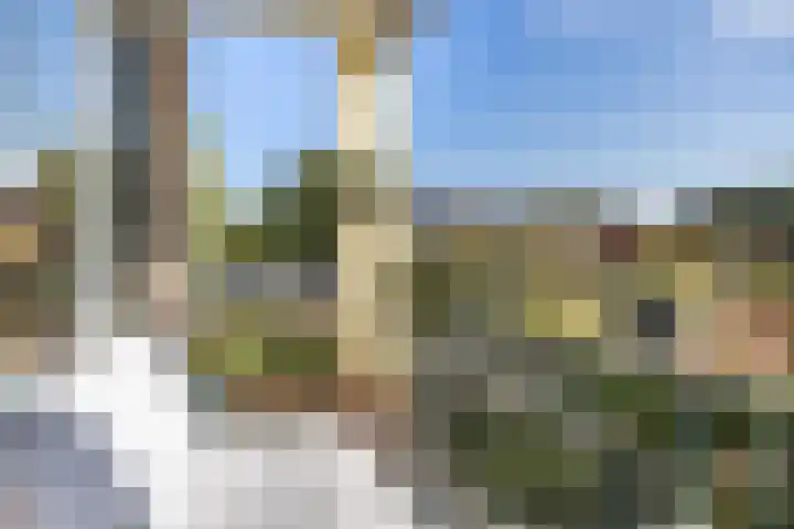 Colenso 20 Soest thumbnail 28