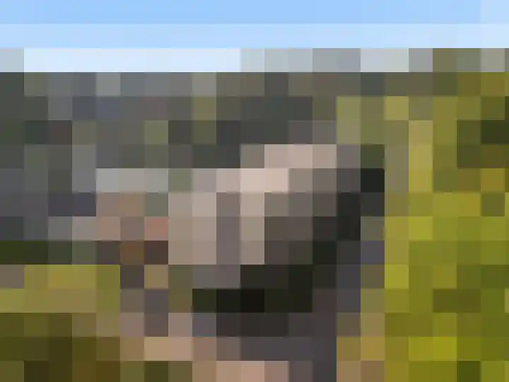 Colenso 20 Soest thumbnail 31