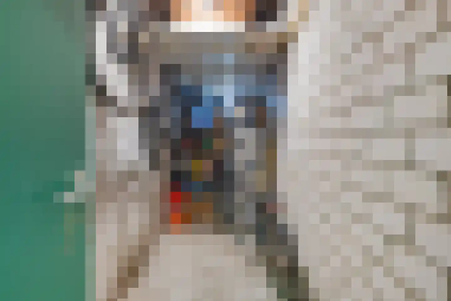Colenso 22 Soest thumbnail 26