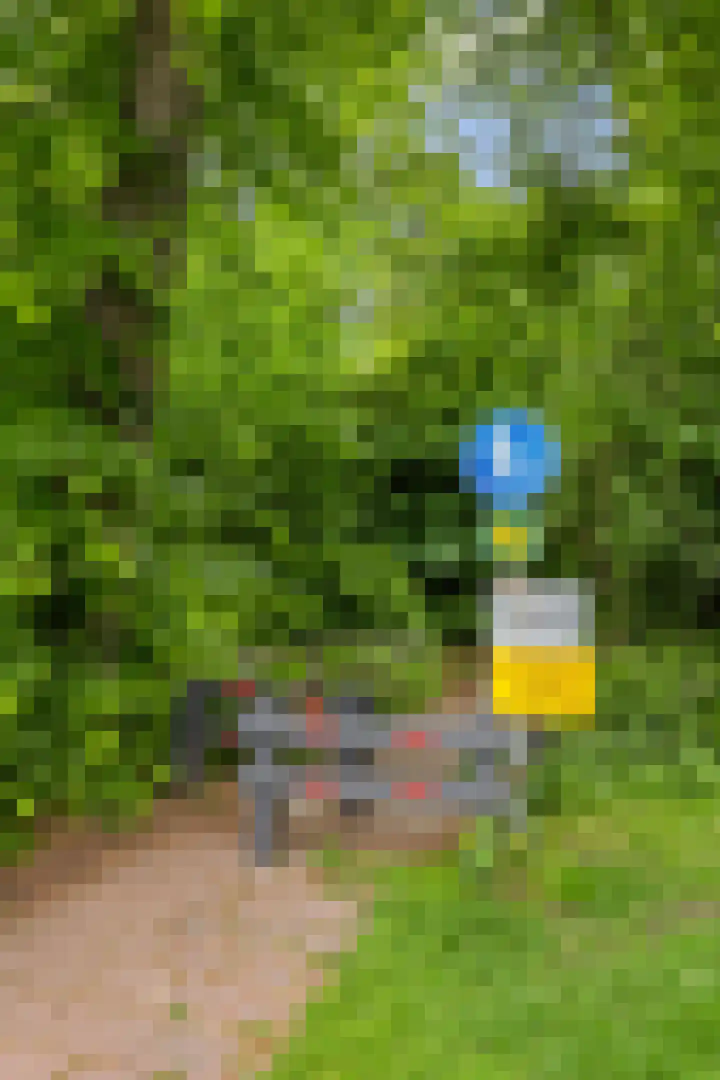 Colenso 22 Soest thumbnail 27