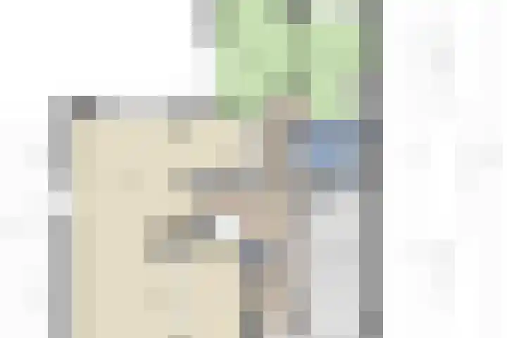 Colenso 29 Soest thumbnail 13