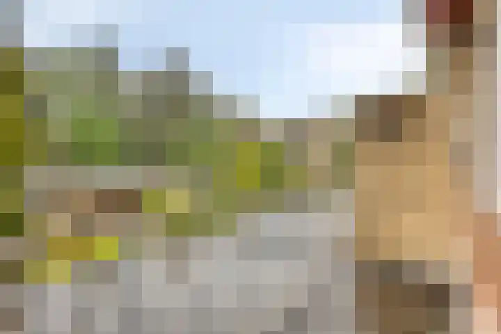 Colenso 29 Soest thumbnail 17