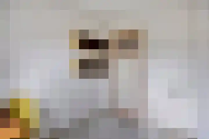 Colenso 29 Soest thumbnail 21