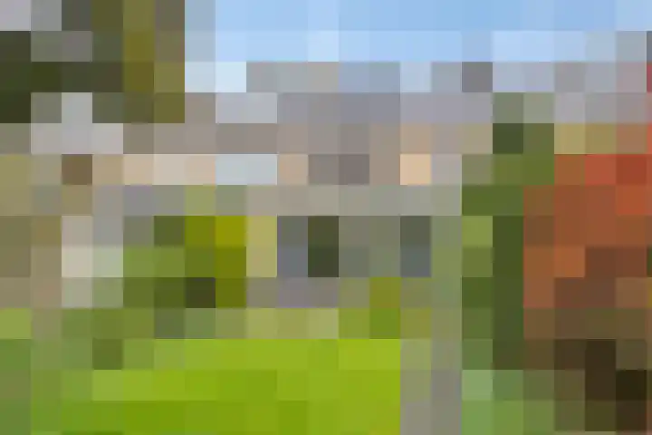 Colenso 29 Soest thumbnail 28