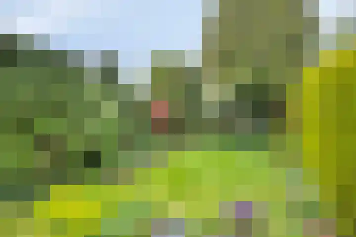 Colenso 29 Soest thumbnail 30