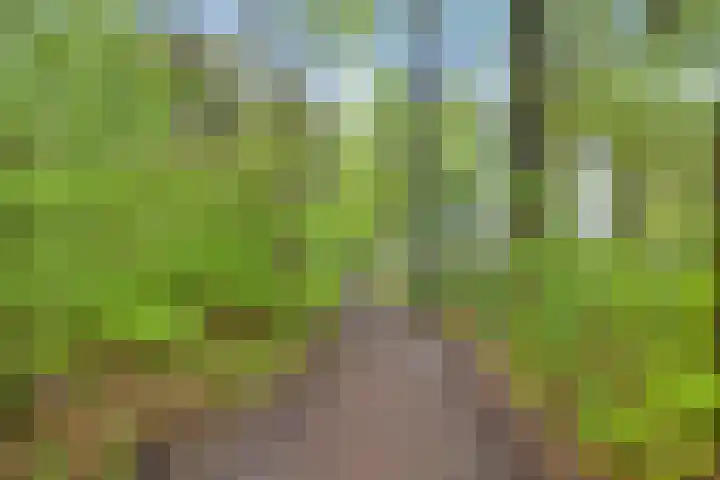 Colenso 29 Soest thumbnail 34