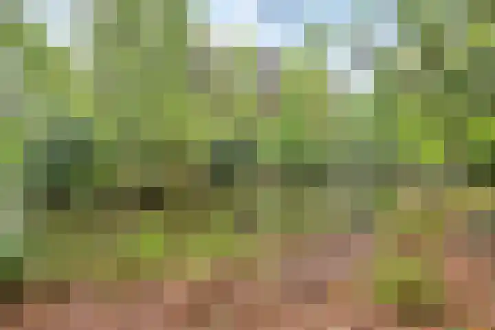 Colenso 29 Soest thumbnail 35