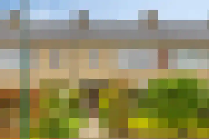 Colenso 29 Soest thumbnail 37
