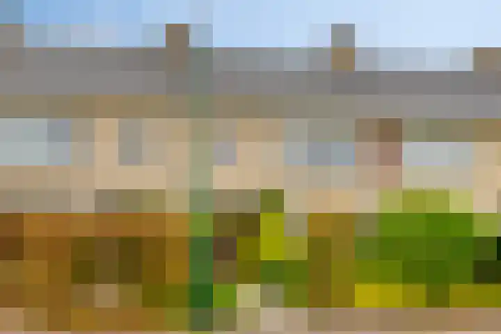 Colenso 29 Soest thumbnail 38