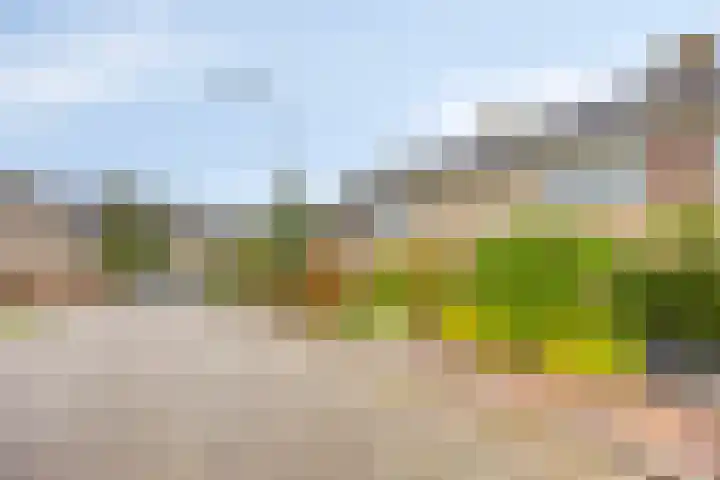 Colenso 29 Soest thumbnail 39