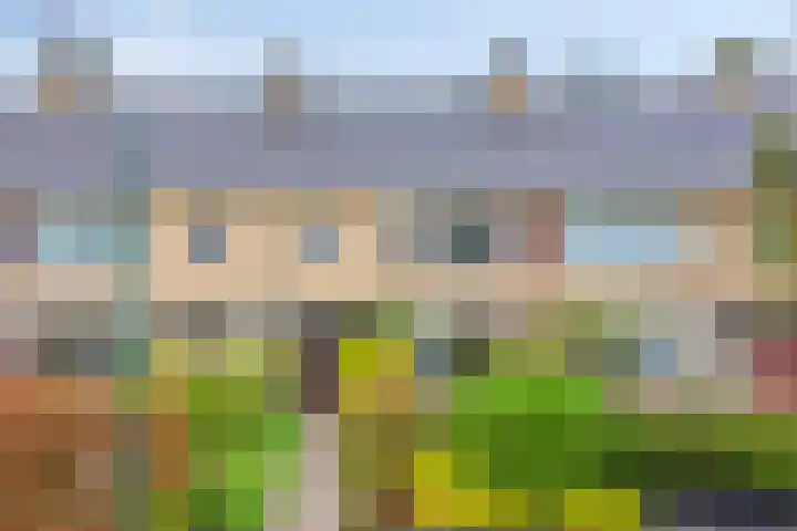 Colenso 29 Soest thumbnail 40