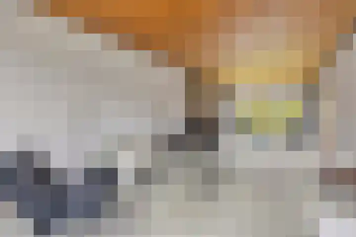 Colenso 29 Soest thumbnail 6