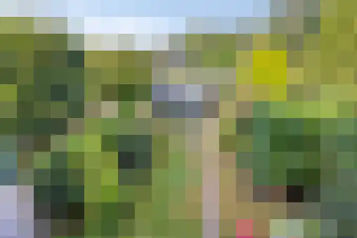 Colenso 30 Soest thumbnail 16