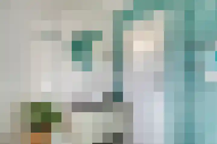 Colenso 30 Soest thumbnail 20
